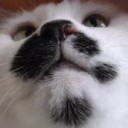 おきにいり・・・・