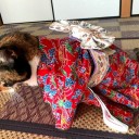 お披露目(〃’▽’〃)