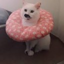 えりざべすからあ・・・
