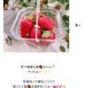 辻ちゃんのブログについて