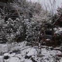 雪景色！