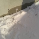 ふっかぁ～～～～つ！
