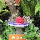 諸々の話（2/10）