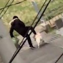 ほうちょう・・・・
