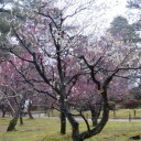 ついてない・・・