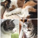 嬉しすぎるー！