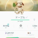 ドーブルひょっこりはん