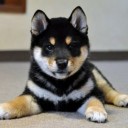 外国人を大切にするとは「反日」だ。／｢そんな事を親にさせるほど親の怒りを買うことしたんだろ｣。／周りの方々が全力で止めてくださいm(_ _)m　（中ＯＴＬ）