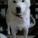 外国人を大切にするとは「反日」だ。／｢そんな事を親にさせるほど親の怒りを買うことしたんだろ｣。／周りの方々が全力で止めてくださいm(_ _)m　（中ＯＴＬ）