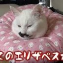 えりざべすからー・・・・