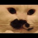 えりざべすからー・・・・