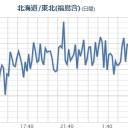 【 フクイチ 】（スパイク）。　（未ｃｍ）
