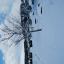 今朝の風景冬