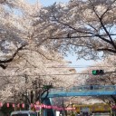 一歩先に行けたような