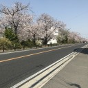 ポケモンGo　スペシャルウィークエンド伊藤園　セブンイレブン