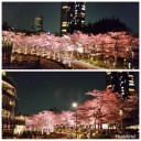 夕暮れから