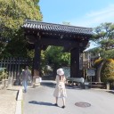 初めての泉涌寺　