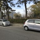 ポケモンGo　タツベイ　コミュニティデイ