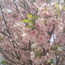 都庁近くで