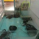 気分転換