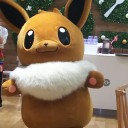シティリーグ矢向→ポケモンカフェ