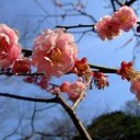 むかしから・・・
