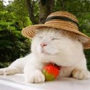 さわぎすぎ・・・・