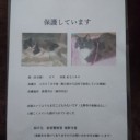 チラシ