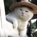 こうしこんどう・・・