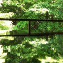 そうだ京都に行こう