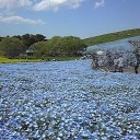 連休