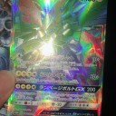 またコレクターの高みへ近づいてしまったか・・・！