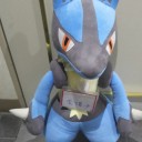 とちぎチャンピオンシップ