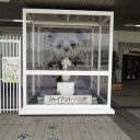 もうちょっと考えようよ