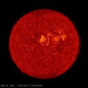 気温＋２４℃。（－－；）★　（午後の　作業中）。