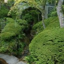箱根