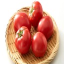 カビを予防する正しい食品保存方法