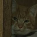 おきにいり・・・