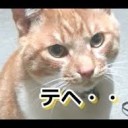 ひきこもり・・・・