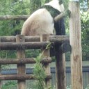 癒しを求めて
