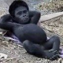 むかしから・・・・