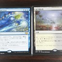 ６/21 ドンキーFNM