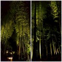 夜のお散歩