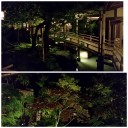 夜のお散歩