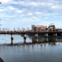 今日はそう言う日だから