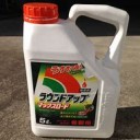 わたしのにわでは・・・