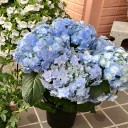 駆け抜ける日常・・