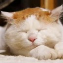 きょうは・・・
