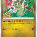 ふぃ～るどへGO！新弾大会優勝　キバゴLOレシピ