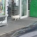 スマホの写真整理してたら・・